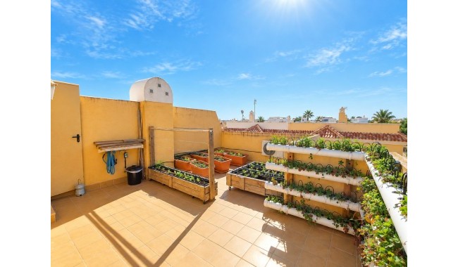Brukt - Rekkehus - Ciudad Quesada/Rojales - Ciudad Quesada