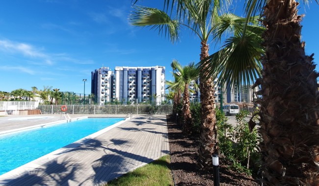 Segunda mano - Apartamento - Punta Prima