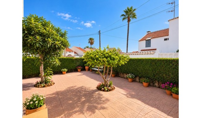 Begagnad - Radhus - Torrevieja - Centro