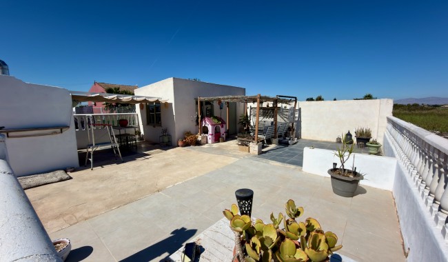 Brukt - Finca - Dolores - Comunidad Valenciana