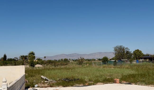 Brukt - Finca - Dolores - Comunidad Valenciana