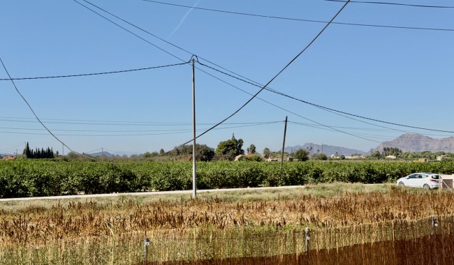 Brukt - Finca - Dolores - Comunidad Valenciana