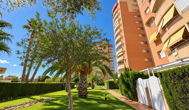 Resale - Apartment - Orihuela Costa - Campoamor