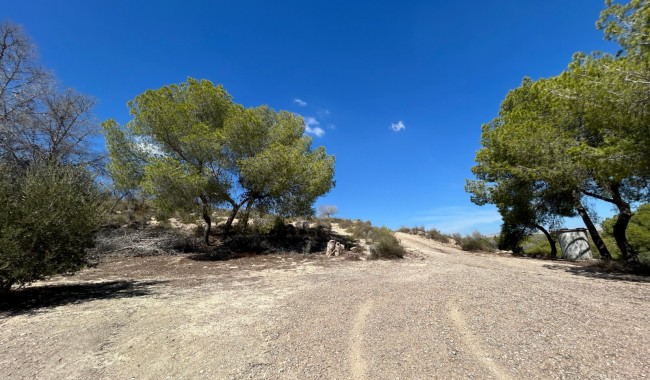 Segunda mano - Finca - Torremendo