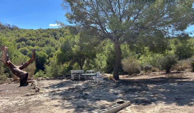 Segunda mano - Finca - Torremendo
