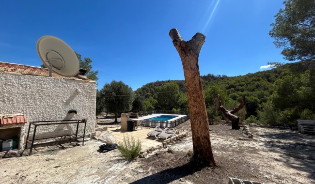 Segunda mano - Finca - Torremendo