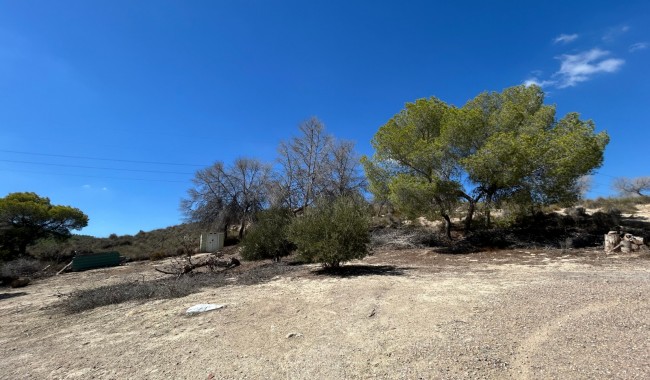 Segunda mano - Finca - Torremendo