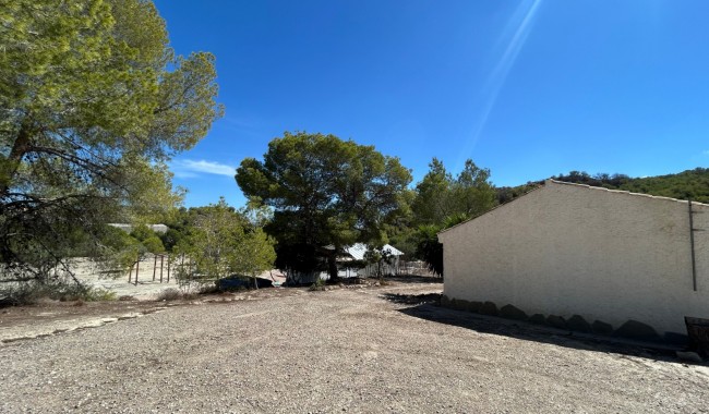 Segunda mano - Finca - Torremendo