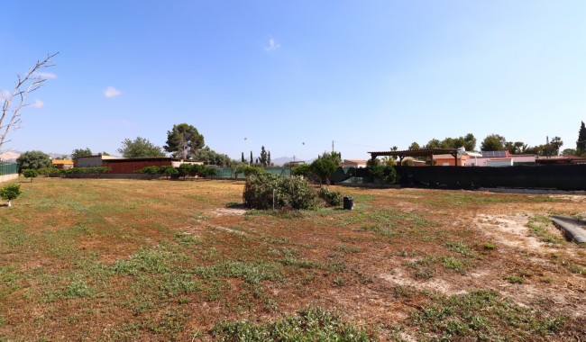 Begagnad - Finca - Benferri - Benferri - Country