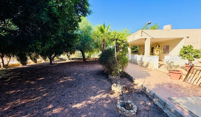 Brukt - Villa - Crevillente