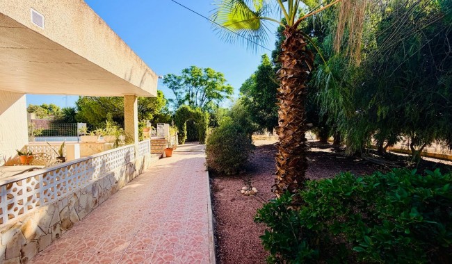 Brukt - Villa - Crevillente