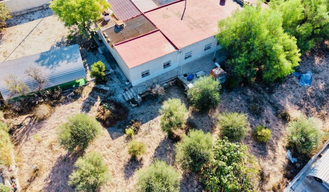 Brukt - Villa - Crevillente