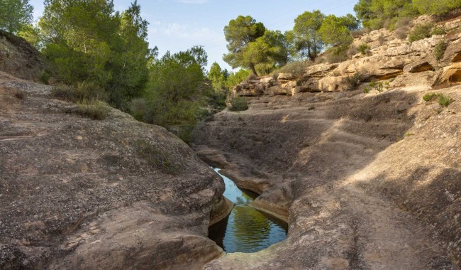 Resale - Apartment - Algorfa - La Finca golf