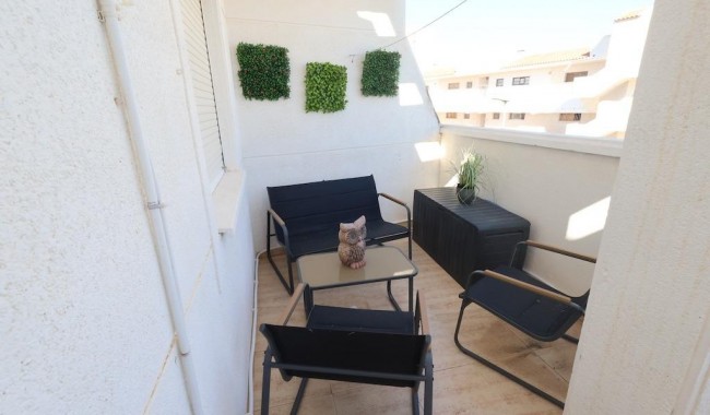 Segunda mano - Apartamento - Torrevieja - Estacion de autobuses