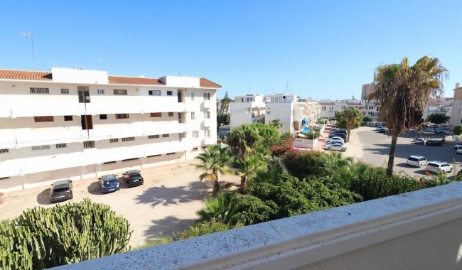 Segunda mano - Apartamento - Torrevieja - Estacion de autobuses