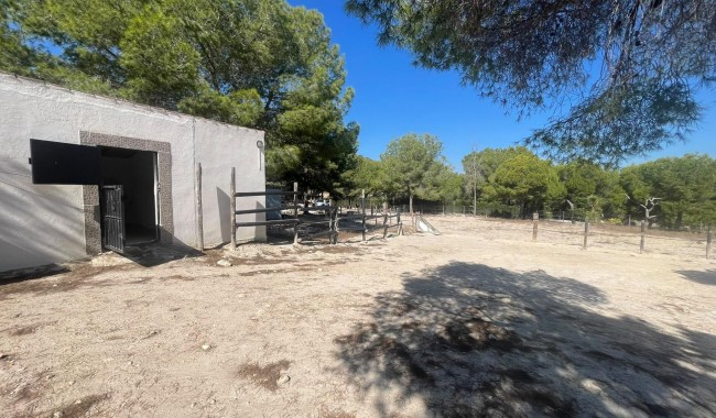 Sprzedaż - Willa - Orihuela - Torremendo