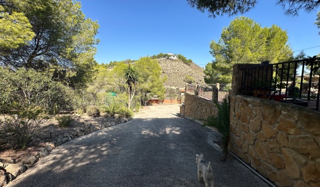 Resale - Finca - San Miguel de Salinas - Costa Blanca Sur