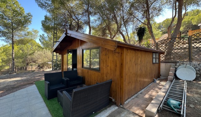 Resale - Finca - San Miguel de Salinas - Costa Blanca Sur