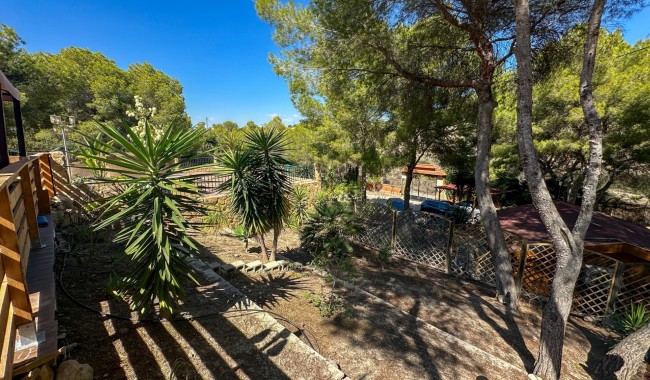 Resale - Finca - San Miguel de Salinas - Costa Blanca Sur