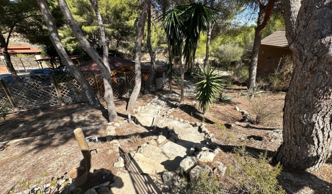 Resale - Finca - San Miguel de Salinas - Costa Blanca Sur