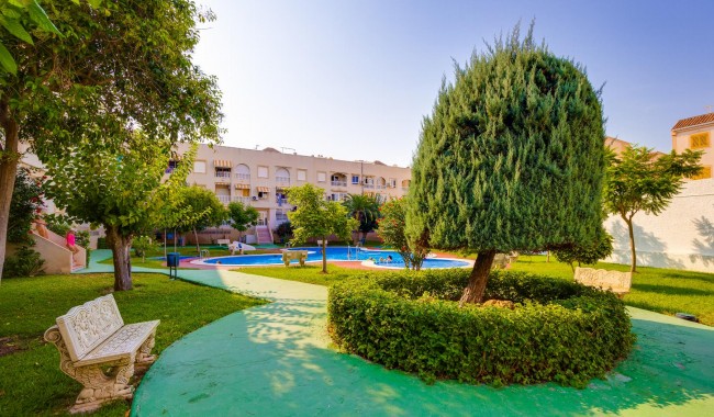 Resale - Apartment - Torrevieja - Playa de La Acequion