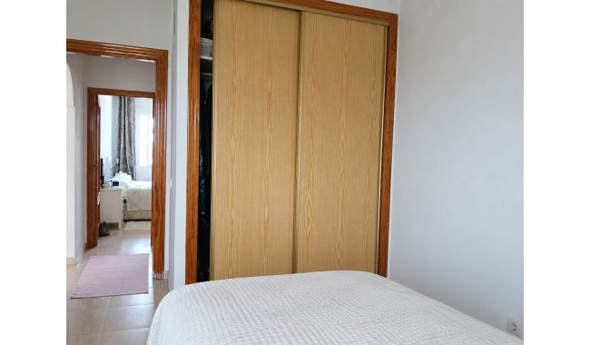 Segunda mano - Apartamento - Los Montesinos - Urbanizacion montesol