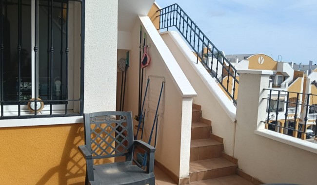 Segunda mano - Apartamento - Los Montesinos - Urbanizacion montesol