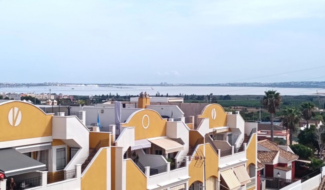Segunda mano - Apartamento - Los Montesinos - Urbanizacion montesol