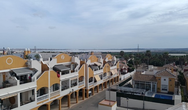 Segunda mano - Apartamento - Los Montesinos - Urbanizacion montesol