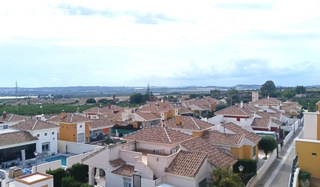 Segunda mano - Apartamento - Los Montesinos - Urbanizacion montesol