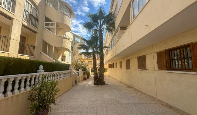 Brukt - Leilighet - Orihuela Costa - La Zenia