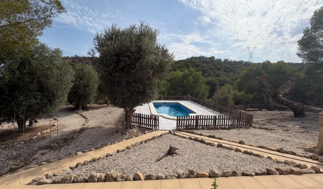 Segunda mano - Finca - Torremendo