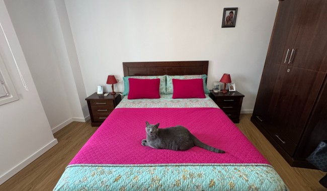 Sprzedaż - Apartament - Guardamar