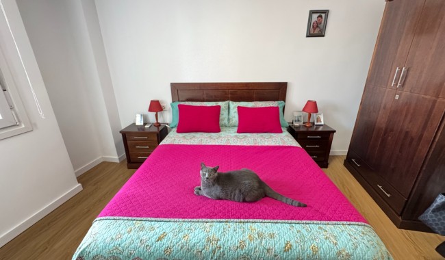 Sprzedaż - Apartament - Guardamar