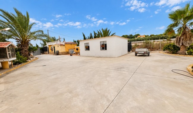 Finca - Resale - San Fulgencio - San Fulgencio - Country