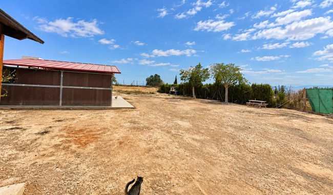 Resale - Finca - San Fulgencio - San Fulgencio - Country