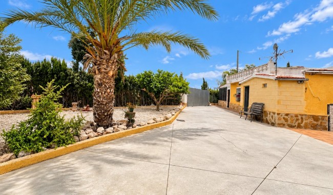 Resale - Finca - San Fulgencio - San Fulgencio - Country