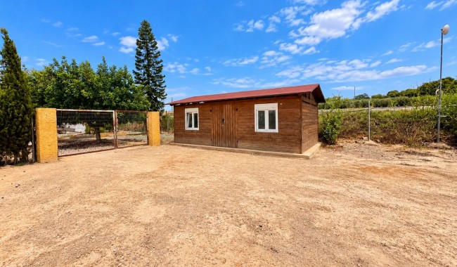 Resale - Finca - San Fulgencio - San Fulgencio - Country