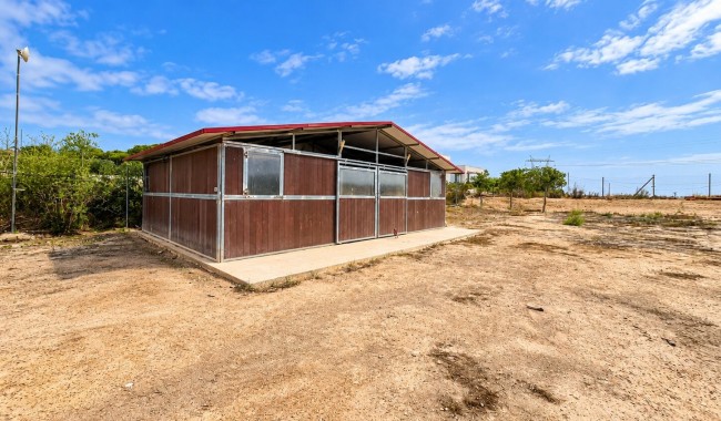 Resale - Finca - San Fulgencio - San Fulgencio - Country