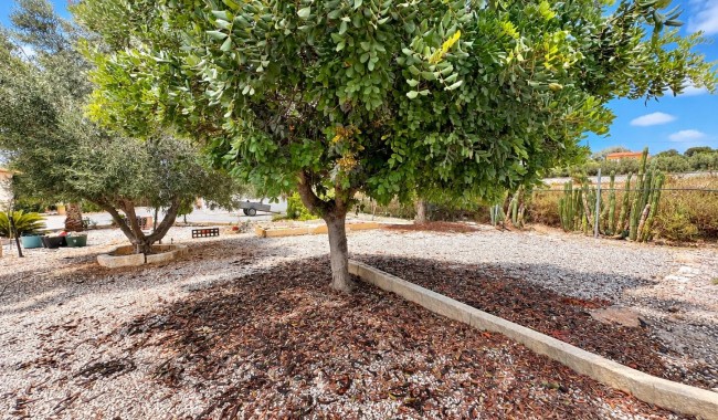 Resale - Finca - San Fulgencio - San Fulgencio - Country