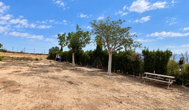 Resale - Finca - San Fulgencio - San Fulgencio - Country