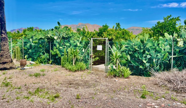 Resale - Finca - Orihuela - Orihuela Costa