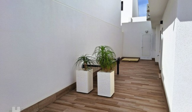 Segunda mano - Villa - San Pedro del Pinatar - San Pedro del Pinatar ciudad