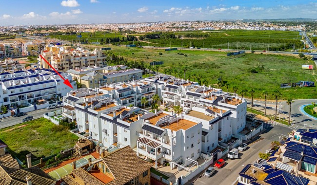 Sprzedaż - Apartament - Torrevieja
