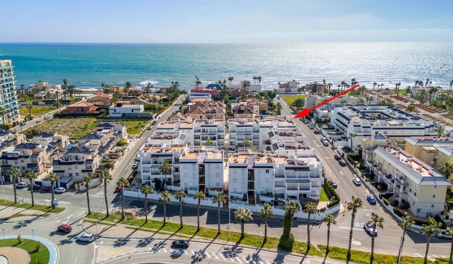 Sprzedaż - Apartament - Torrevieja