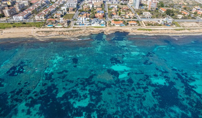 Sprzedaż - Apartament - Torrevieja