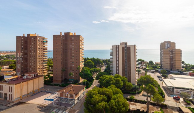 Segunda mano - Apartamento - Orihuela Costa - Dehesa de Campoamor