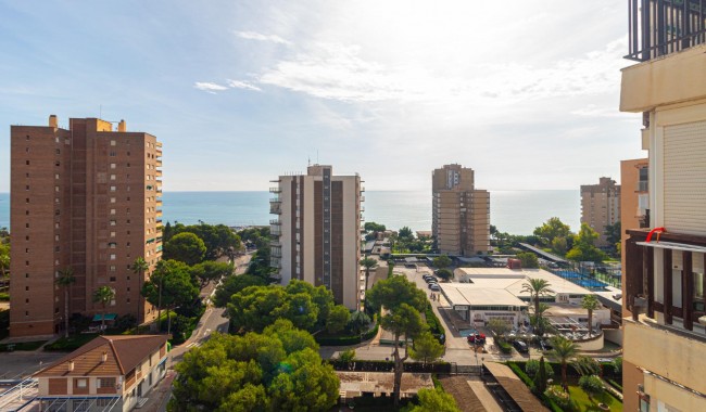 Segunda mano - Apartamento - Orihuela Costa - Dehesa de Campoamor