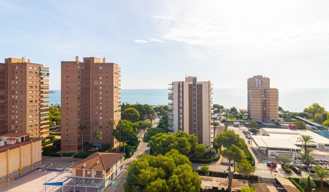 Segunda mano - Apartamento - Orihuela Costa - Dehesa de Campoamor