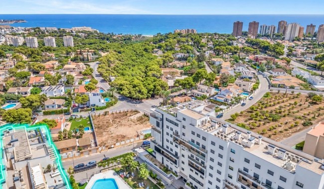 Apartment - Resale - Orihuela Costa - Dehesa de Campoamor